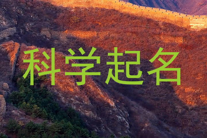 科学起名