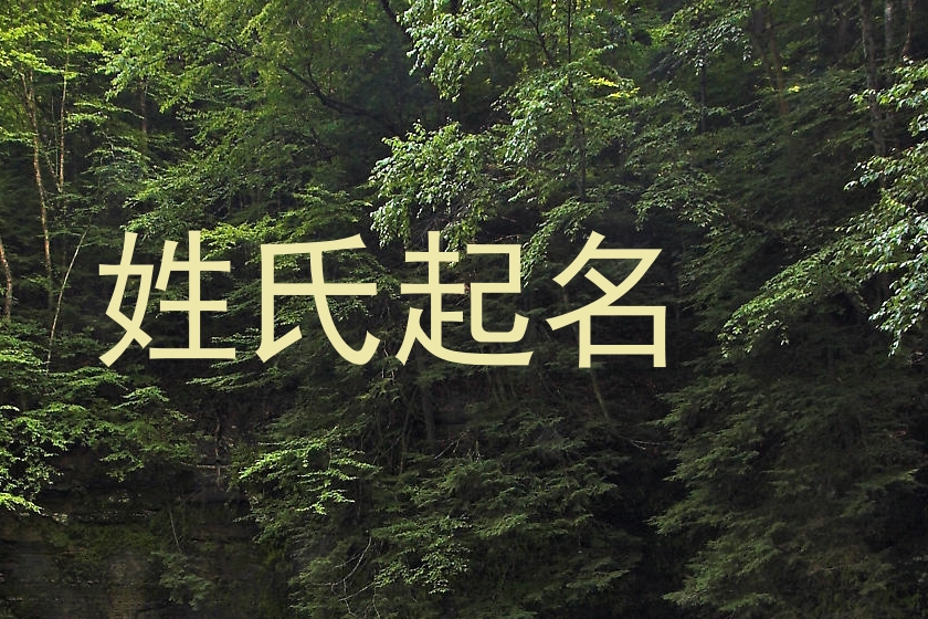 姓氏起名