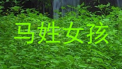 马姓女孩