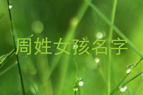 周姓女孩名字
