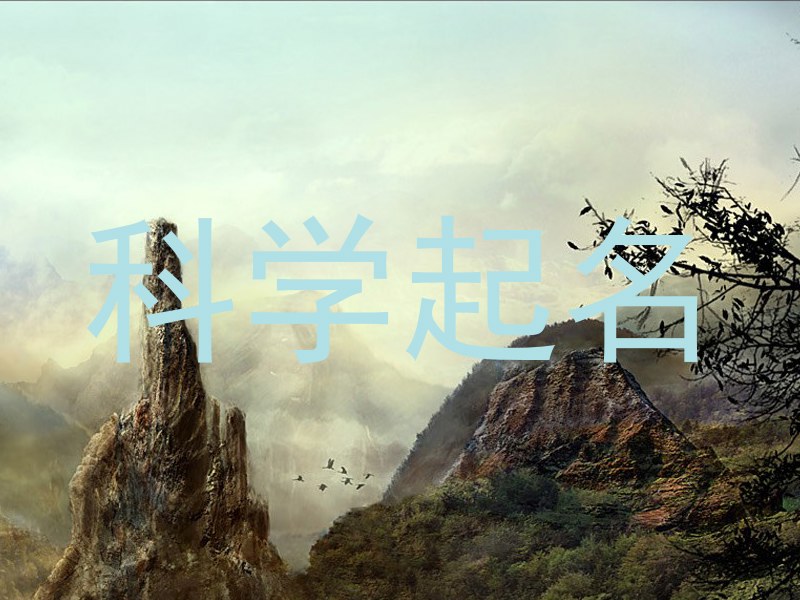 科学起名