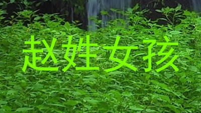 赵姓女孩