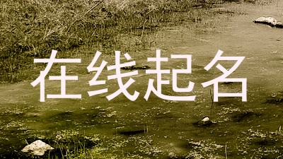 在线起名