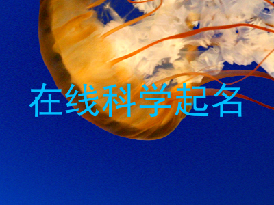 在线科学起名