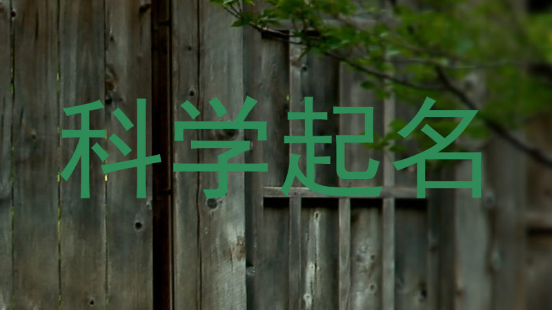 科学起名