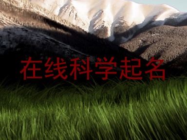 在线科学起名