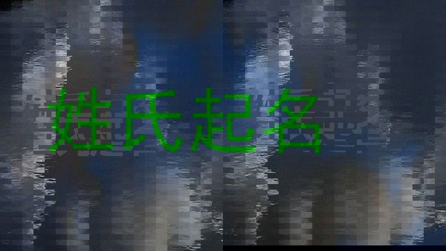 姓氏起名