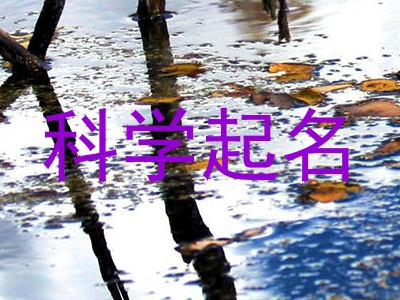 科学起名