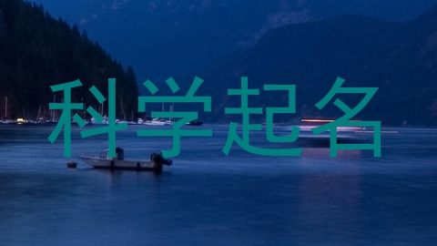 科学起名