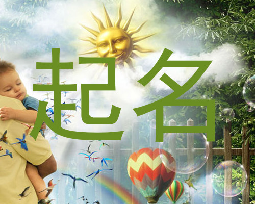 起名
