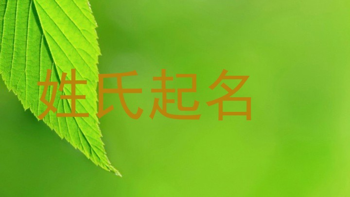 姓氏起名