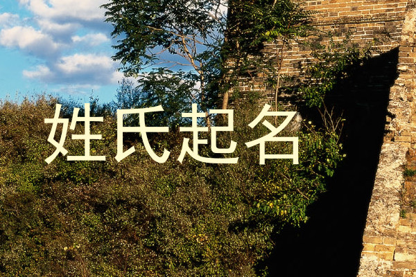 姓氏起名