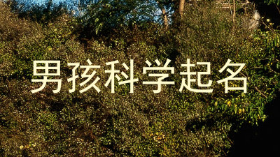 男孩科学起名