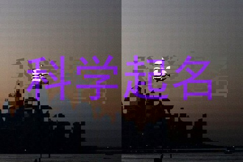 科学起名