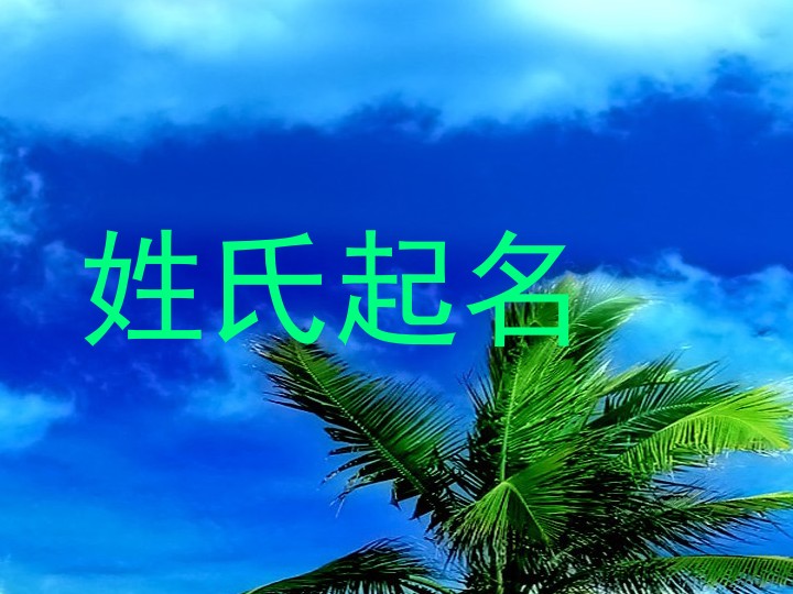 姓氏起名