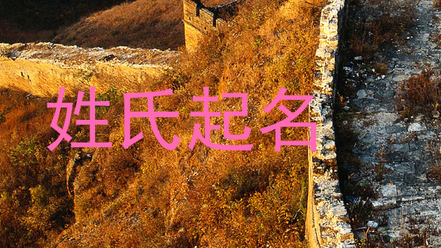 姓氏起名