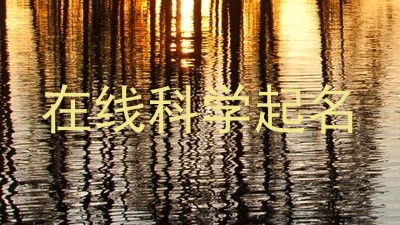 在线科学起名