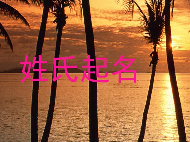 姓氏起名