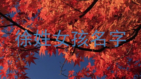 徐姓女孩名字