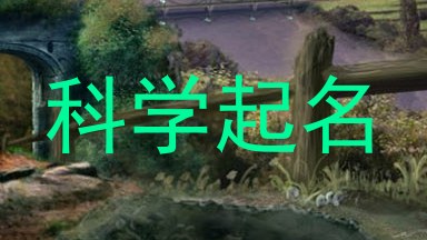 科学起名
