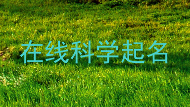 在线科学起名