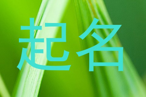 起名