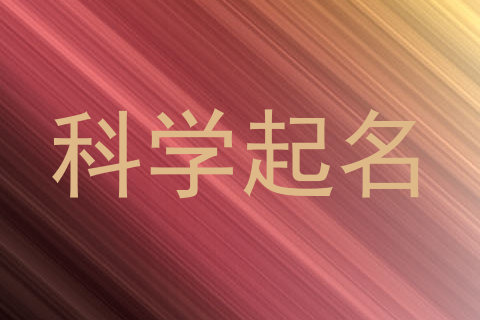 科学起名