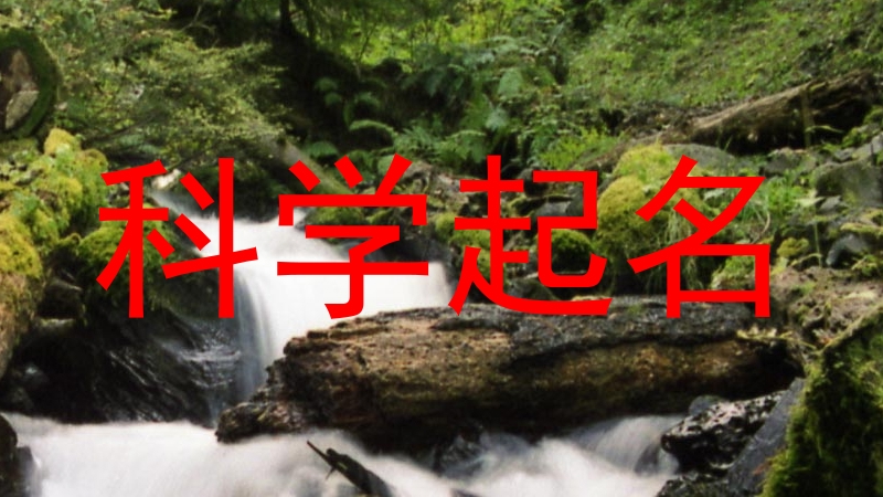 科学起名