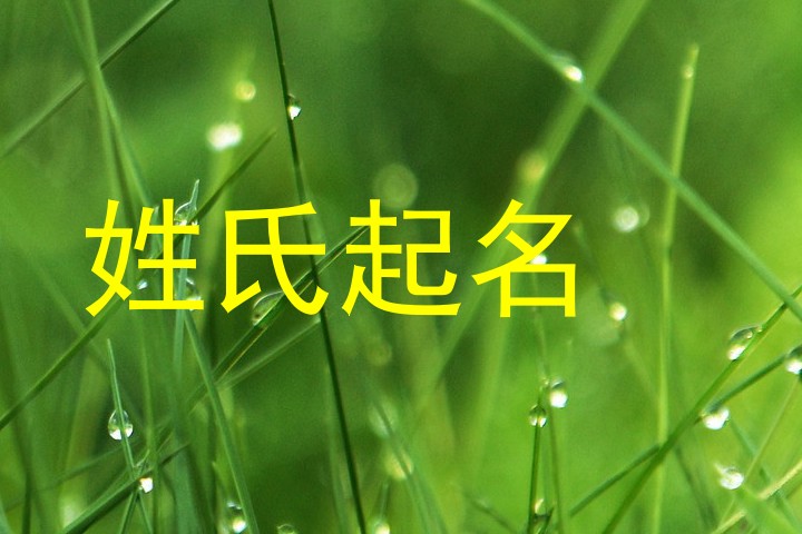 姓氏起名