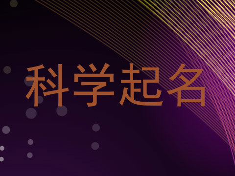 科学起名