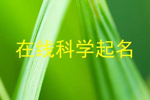 在线科学起名