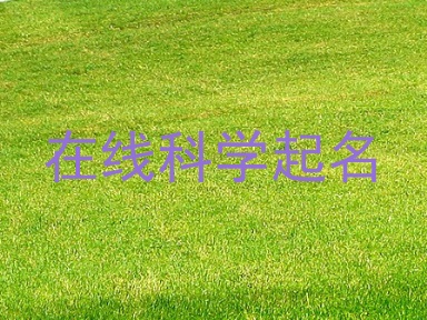 在线科学起名