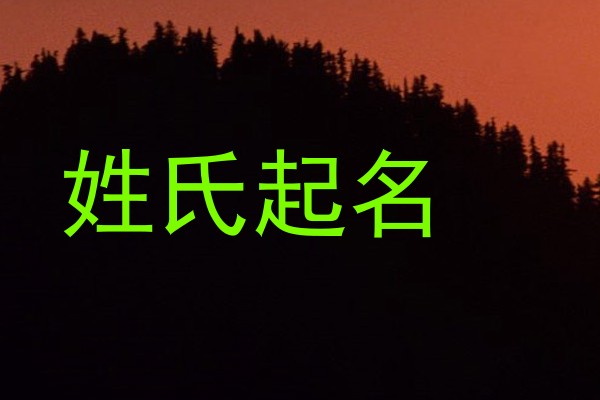 姓氏起名