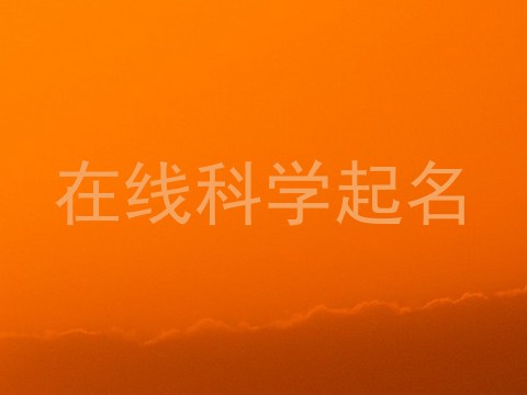在线科学起名
