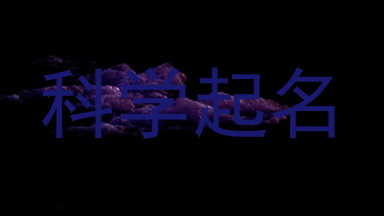 科学起名