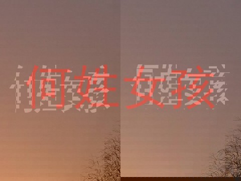何姓女孩
