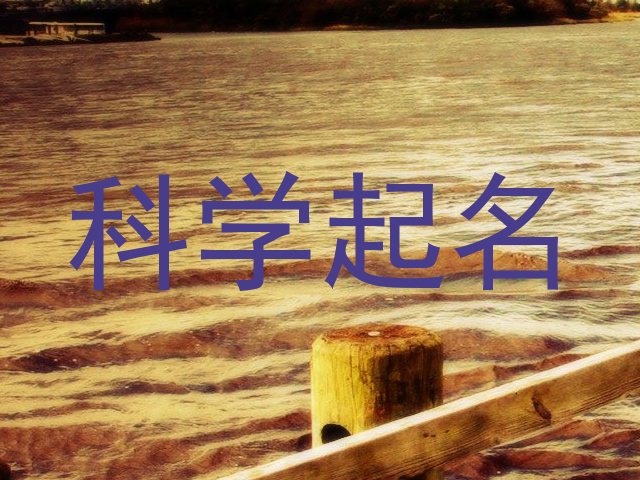 科学起名