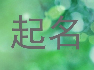 起名