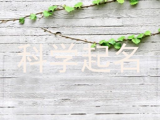 科学起名