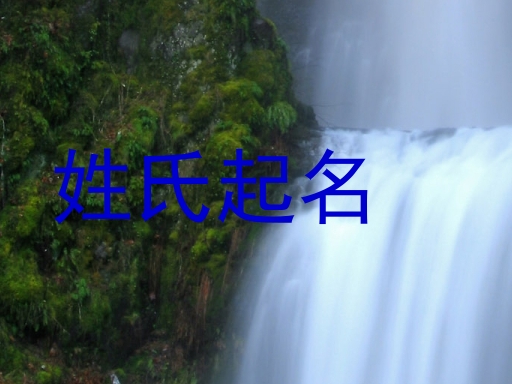 姓氏起名