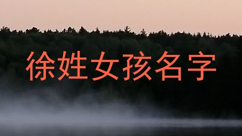 徐姓女孩名字