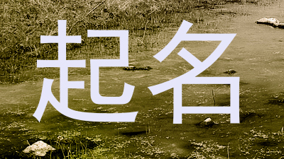 起名