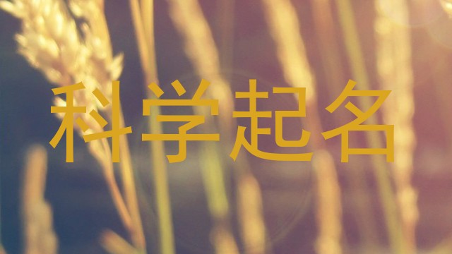 科学起名