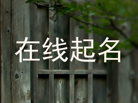 在线起名