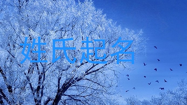姓氏起名