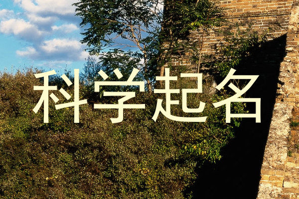 科学起名