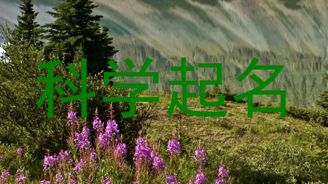 科学起名