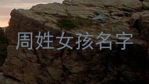 周姓女孩名字
