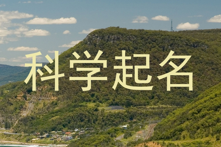 科学起名