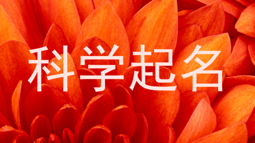 科学起名